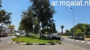 أجواء مستقرة ودرجات حرارة معتدلة خلال أيام العيد – مقالات نيوز